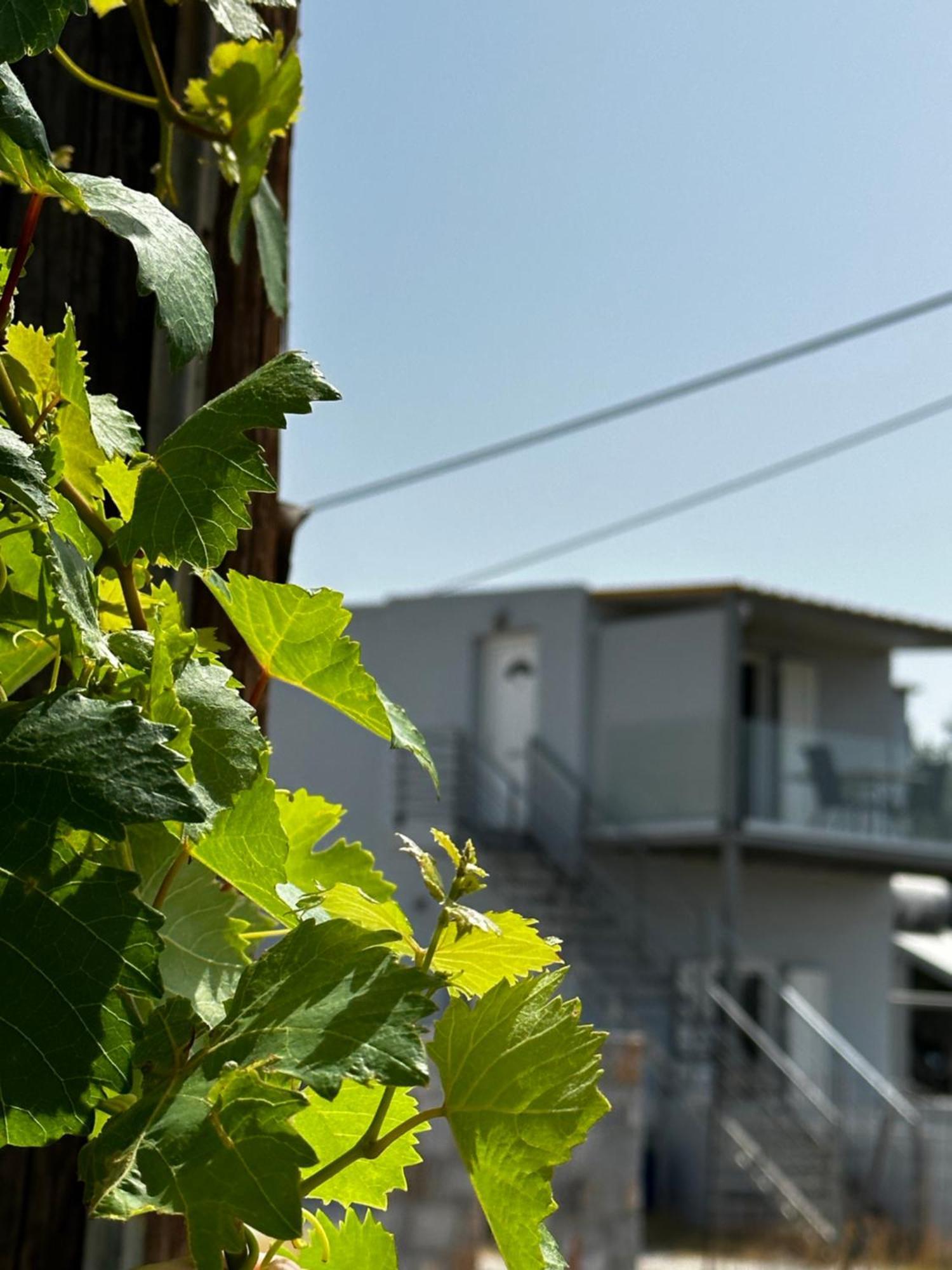 Blue Sky Διαμέρισμα Φραγκοκάστελλο Εξωτερικό φωτογραφία